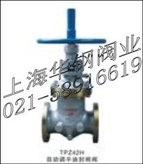 自動化與可靠性的完美結(jié)合：tpz42h自動調(diào)平油封閘閥解析