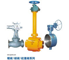 上高閥門 匠心鑄就卓越，產品盡顯風采